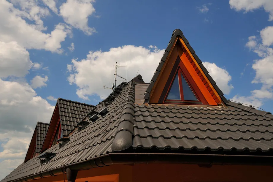 classic_novo_b_cerna